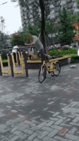 村长|搞笑gif趣图：这马学过凌波微步