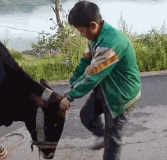 现在|搞笑GIF: ?护士的病刚好, 现在大夫又开始不正经了