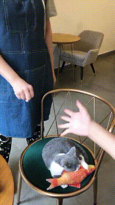 这是|搞笑GIF：这是杀了什么怪的