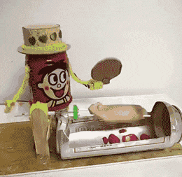 妹子|搞笑GIF：姑娘有什么事冲我来，这头猪真的受不了