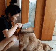 儿子|【笑话】：自从买了手机，儿子的数学作业，准确率几乎百分之百！