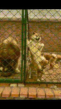 刘乡长|十则开心小笑话：笑口常开，好运来。