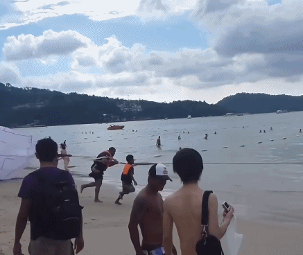 爆米花|爆笑GIF图：就算变成爆米花，该跑的还是会跑