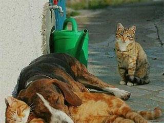 新郎|有故事的男人,接亲走到一半新郎说下来静静!