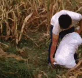 老孙|爆笑趣图GIF：哟，用力过猛了