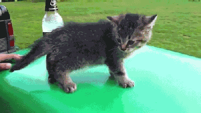 孩子|搞笑GIF动图：这女朋友要不得，想哄她你都追不上