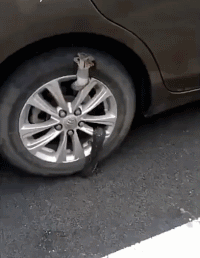 妹子|搞笑GIF趣图：妹子，你哪个单位的？!你站起来说话！