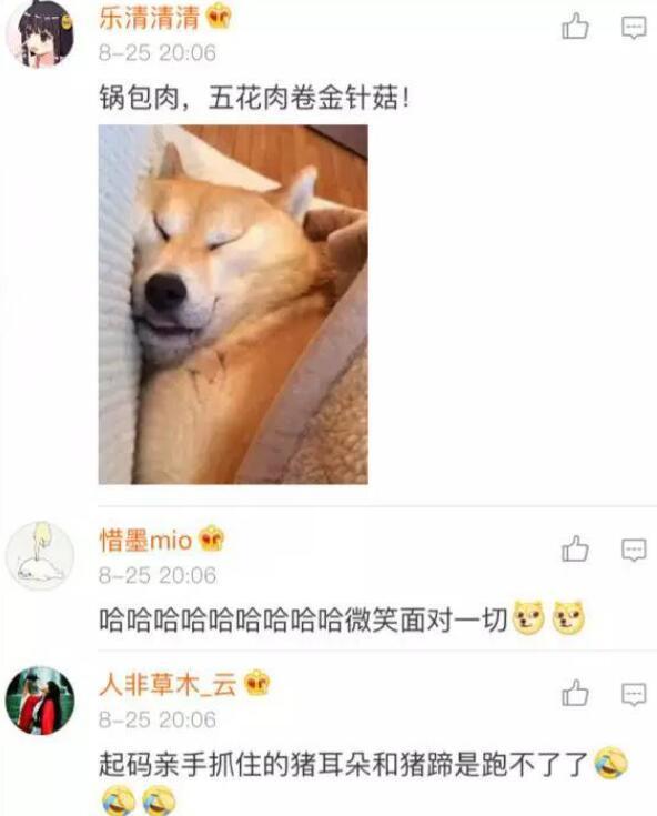 师兄|那只从台风中救出来的猪，被恶搞成表情包了