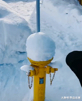 姑娘|内涵GIF:原来西瓜是真长在树上的啊