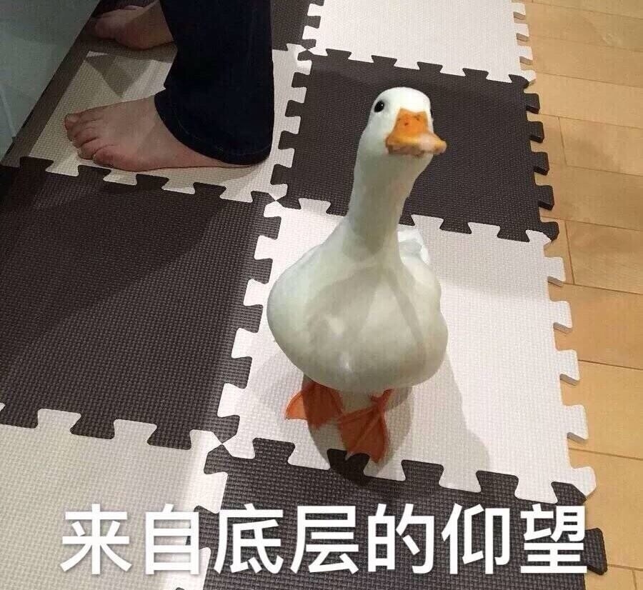 段子|笑话段子:老婆温柔抚摸着我的脸说,我好像已经三天没打你了