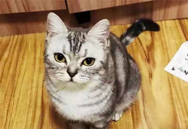 大夫|开心一刻笑话：突然，娃在下坡时，摔倒了，然后马上爬起来