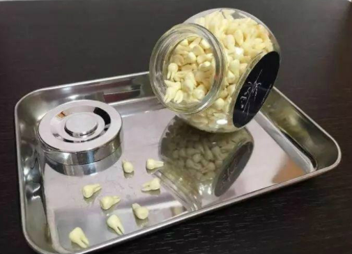 臼齿|日本的这个巧克力叫做“少女的臼齿”