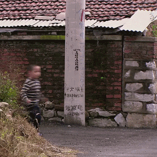 猕猴桃|这是谁家的猕猴桃精跑出来了