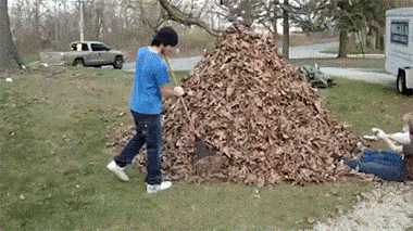 驾驶员|爆笑GIF图：驾驶员有考虑过乘客的感受吗