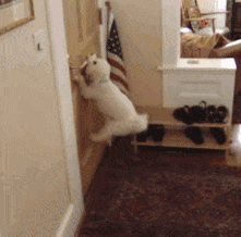 妖娆|搞笑gif：用手托头的这动作过分了啊！太妖娆了~