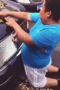 这是|搞笑GIF趣图:我裤子都脱了,你却给我看这个