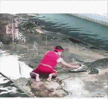 妹子|搞笑GIF：看来妹子你技术掌握得很好，你很棒