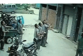 鸡翅|爆笑GIF：这背后一定有不一样的故事！