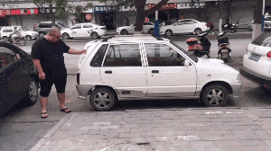 青菜|趣味GIF：养了一只佛系的猫，特别喜欢吃青菜?