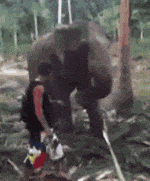 小明|开心趣图:搞笑动图宠物图片幽默段子来喽