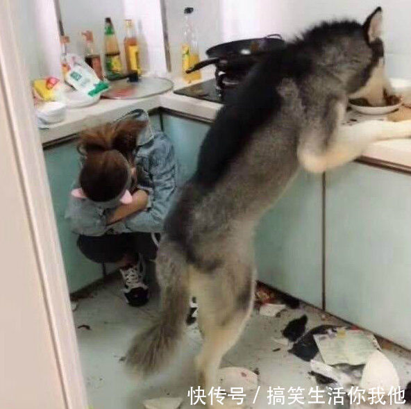 搞笑|搞笑GIF动图:刚交了个女朋友,和她一起吃了一顿饭然后就分手了