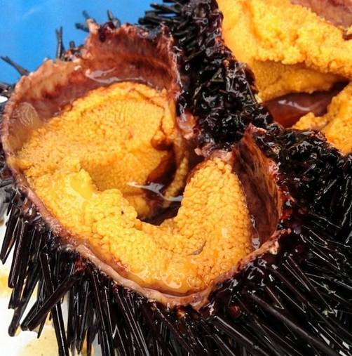 盘点世界各地的“重口美食”，总有一道让你下不去嘴！(1)
