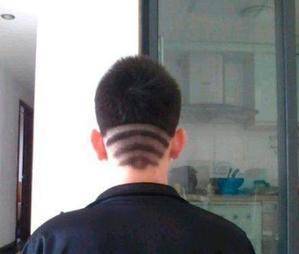 百兽|爆笑GIF: 我是百兽之王,放开我