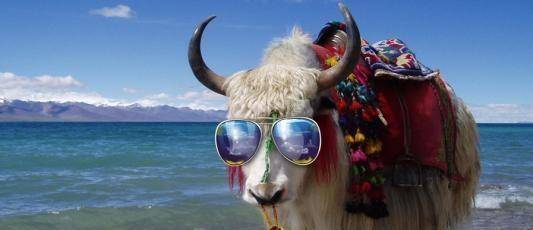 男友|开心一刻: 上个星期六，我第一次在男友家吃饭！