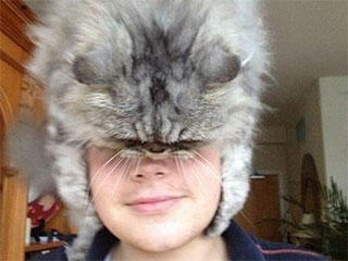 老婆|搞笑动态图GIF: 老婆别生气啦，我知道错啦。