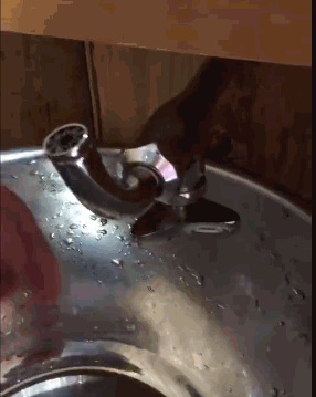 老大哥|每日一笑：小伙相亲不成功，结果被单亲妈妈看上