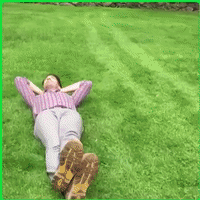 惨烈|搞笑gif：车祸现场，画面惨烈，超有爱的一家