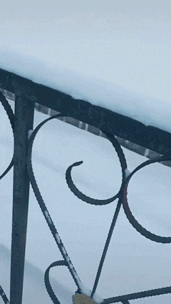 妹子|搞笑GIF:妹子,需要救援吗?我来救救你吧!!