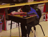 厕所|搞笑GIF动图：终于完成了我小时候想最想观察的结果之一