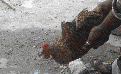 功力|搞笑GIF：这功力可以啊！竟然真的砸不到！