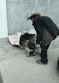 还是|搞笑GIF:小时候最害怕的事情最后还是发生了