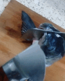 看来今天这鱼头吃的也太费刀了