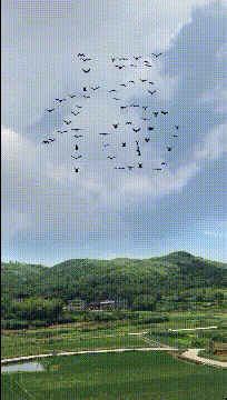 栗子|搞笑GIF趣图:媳妇让我回家吃大闸蟹,揭开锅我真替螃蟹难过!