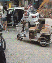 妹子|搞笑GIF:谁知道这什么什么品种,圣诞送给女神应该不错吧