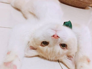 清奇|“妈！我不小心绊了一下摔尿上了” 谁还不是一个“脑洞清奇”的少年!