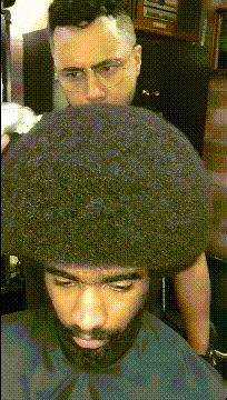 鸡翅|搞笑gif动态图:如果你穿一条破洞裤去幼儿园,这就是你的下场