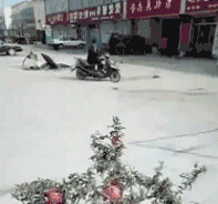 大海|搞笑gif趣图:让你皮,看你怎么拿下来,反正我是不能帮你!