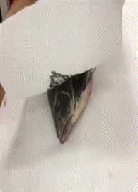 蒙混过关|搞笑GIF：忘不了我们宿舍这群奇葩舍友