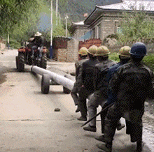 兄弟|搞笑GIF：你怎么还帮着别人欺负我呢？你还是不是我的好兄弟了！