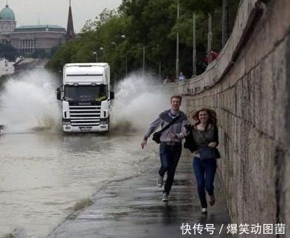 蚂蚁|搞笑GIF趣图:姐惨了,蚊子提着灯笼来找我们了