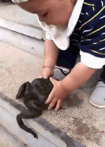 刀工|搞笑GIF:你这刀工太厉害了,竟然可以切的这么薄!