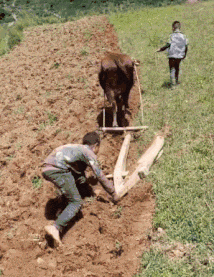 当家|搞笑GIF趣图:穷人家的孩子早当家,这句话真的不假