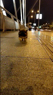 伴娘|搞笑GIF：铁砂掌创始人