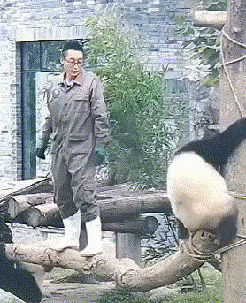 饲养员|你到底是个饲养员, 还是专门来害我的?