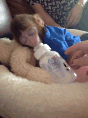 妹子|盯着副驾驶的妹子看了半天,也没发现亮点在哪里