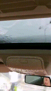 家子|搞笑GIF:不小心踩到,会不会痛!